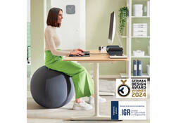 Actieve zitbal Leitz Ergo 65cm anti-rol donkergrijs