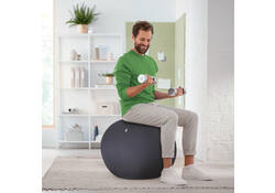 Actieve zitbal Leitz Ergo 65cm anti-rol donkergrijs