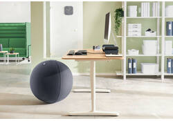 Actieve zitbal Leitz Ergo 65cm anti-rol donkergrijs