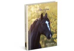 Schoolagenda 25-26 Lannoo Horses 1dag/1pagina geel