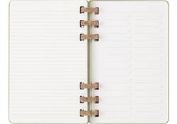 Agenda 2025/2026 Moleskine 12M Academic Weekly 7d/1p Myrtle large kiwi