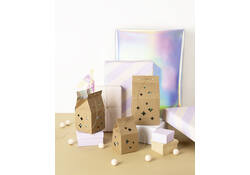 Giftbox Folia Star kraft set à 6 stuks