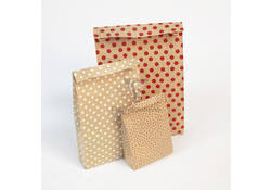 Cadeauzak Clairefontaine16x30x5cm kraft sterren 50 stuks