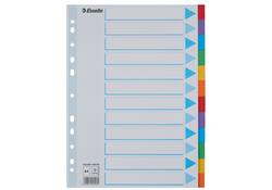 Tabbladen Esselte Standaard A4 12-delig karton 11-rings met voorblad assorti