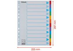 Tabbladen Esselte Standaard A4 12-delig karton 11-rings met voorblad assorti