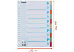 Tabbladen Esselte Premium A4 10-delig karton 23-rings assorti