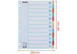 Tabbladen Esselte Premium A4 12-delig karton 23-rings assorti