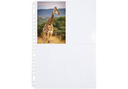 Fototas Multo A4 23-gaats 4-vaks 10X15cm PP transparant 10 stuks