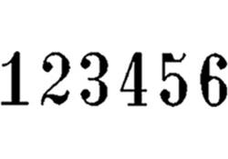 Numeroteur Reiner B6K 13053 6 cijfers 4.5mm kunststof