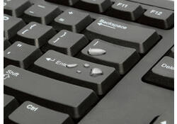Toetsenbord Kensington Valukey Qwerty