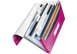 Projectmap Leitz WOW voor A4 6 vaks PP roze