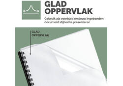 Voorblad Fellowes A4 PVC 300micron 100stuks