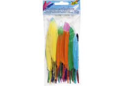Indianen veren Folia assorti