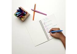 Fineliner Paper Mate Flair Original medium rood