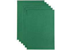 Kopieerpapier Papicolor A4 100gr 12vel dennengroen