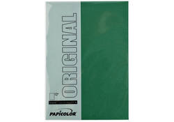 Kopieerpapier Papicolor A4 100gr 12vel dennengroen