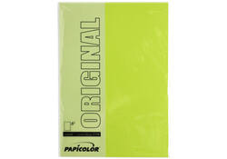 Kopieerpapier Papicolor A4 100gr 12vel appelgroen