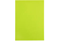 Kopieerpapier Papicolor A4 100gr 12vel appelgroen