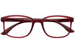 Leesbril I Need You +1.50 dtp Rainbow donkerrood