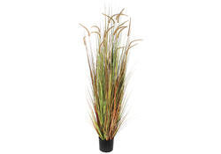 Kunst Pluimgras Dogtail 180cm groen