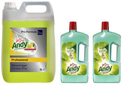 Allesreiniger Andy citroen fris 5 liter