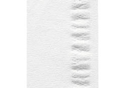 Facial tissues Satino Prestige 2-laags 100vel wit 206450