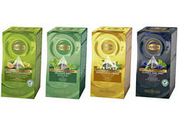 Thee Lipton Exclusive subtiele munt 25x2gr