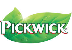 Theeglas Pickwick 260ml 6st