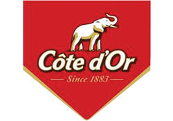 Chocolade Cote d'Or mignonnette melk 120x10 gram