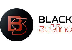 Toiletpapier BlackSatino Original ST10 systeemrol 2-laags 712vel wit 313830