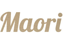 Hamburgerdoos Maori 115x110x70mm karton bruin 320stuks