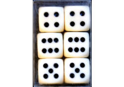 Dobbelstenen Verhaak 6 stuks