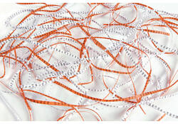 Papiervernietiger IDEAL 2503 stroken 4mm