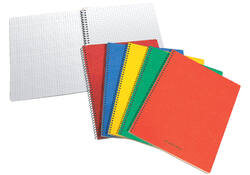 Schrift Aurora 75x110mm ruit 5x5mm 160 pagina's 60gr assorti