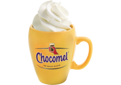 Chocolademelk Chocomel blik 250ml