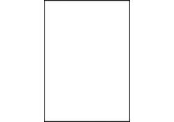 Etiket Avery Zweckform 6119 210x297mm A4 wit 25stuks