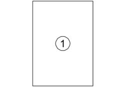 Etiket Quantore 210x297mm 100 stuks
