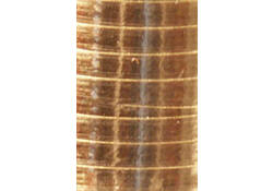 Polyband Haza 250mx5mm metallic goud