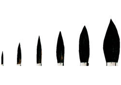 Penseel Pelikan 23 nr 6