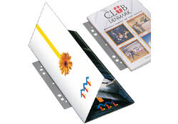 Opbergstrip Djois filestrip A4 295mm 2/4rings transparant 100 stuks